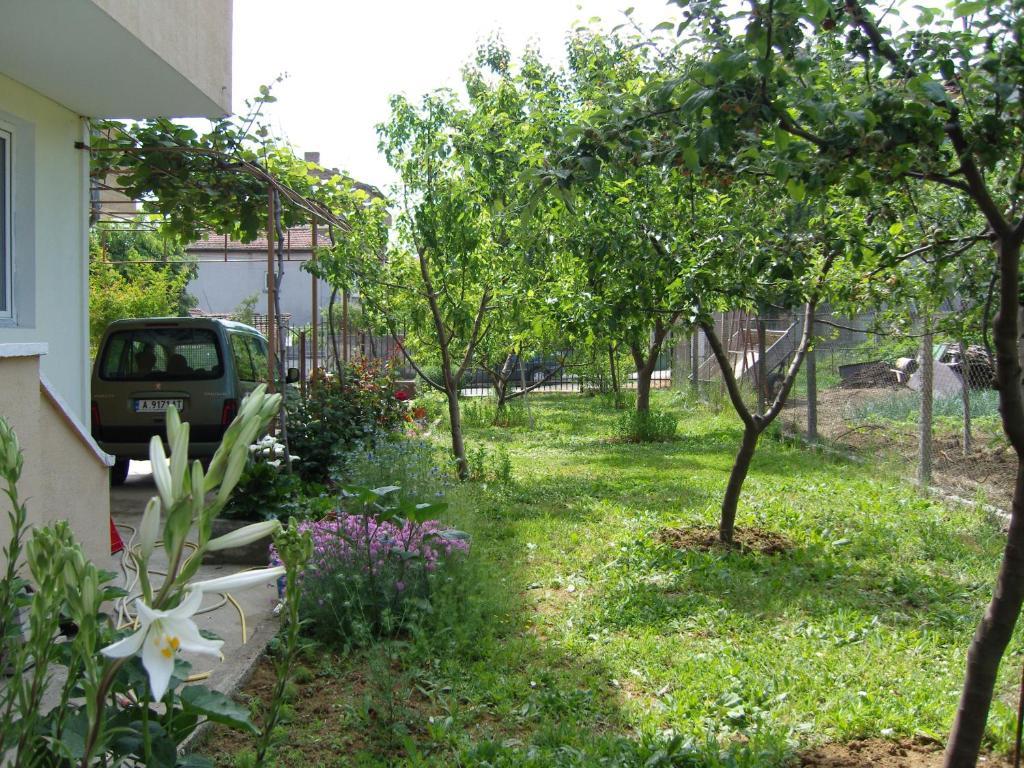 צרבו Kirovi House - Guest Rooms מראה חיצוני תמונה